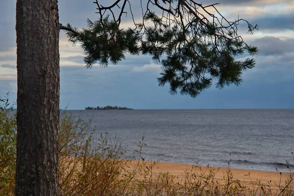 俄罗斯 卡累利阿共和国奥涅加湖东北海岸的松林里 一个风景如画的落日 — 图库照片