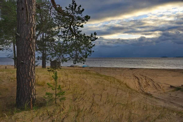 Russland Republik Karelien Ein Malerischer Sonnenuntergang Einem Kiefernwald Nordostufer Des — Stockfoto