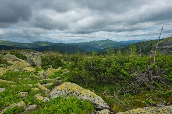 Russia Southern Siberia Krasnoyarsk Territory Summer Natural Mountain Park Ergaki — Stock Photo, Image