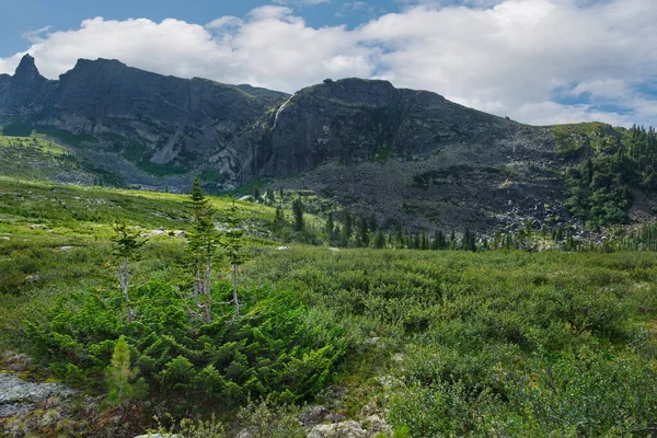 Russia Southern Siberia Krasnoyarsk Territory Summer Natural Mountain Park Ergaki — Stock Photo, Image