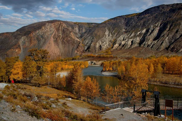 Ρωσία Νότια Της Δυτικής Σιβηρίας Στα Βουνά Αλτάι Χρυσό Φθινόπωρο — Φωτογραφία Αρχείου