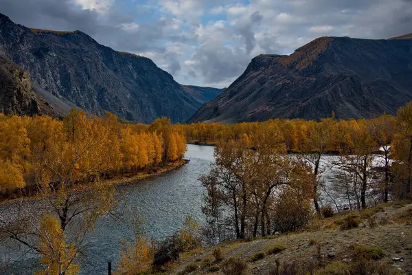 Ryssland Söder Västra Sibirien Altaibergen Gyllene Höst Dalen Chulyshman River — Stockfoto