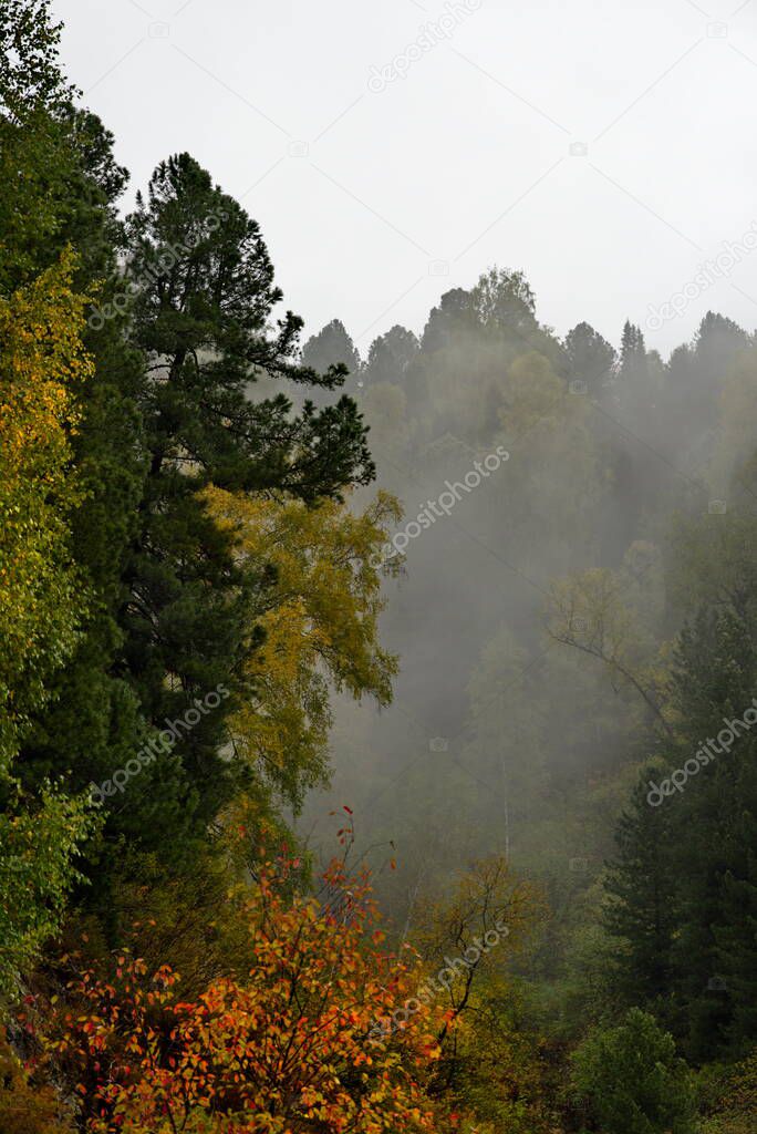 Russia. South of Western Siberia, Mountain Altai. Morning frosty fog on the tops of the rocks along the Biya River.