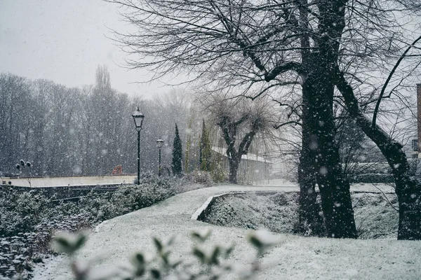 Richmond Thames Londres Reino Unido 2021 Belo Jardim Coberto Neve — Fotografia de Stock