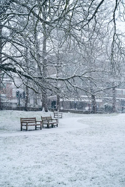 Richmond Thames London 2021 Beautiful West London Embankment Covered Snow — Fotografie, imagine de stoc