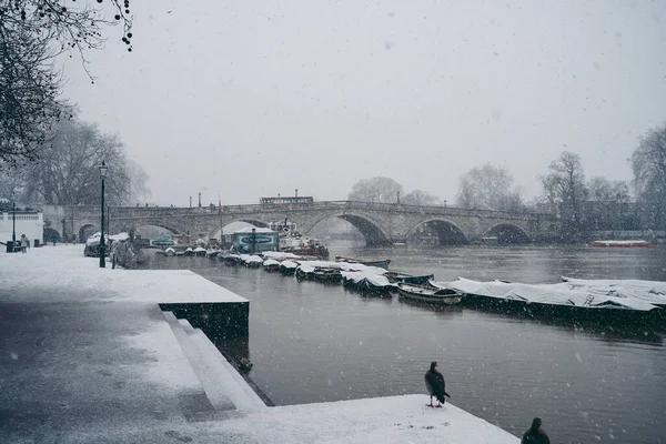 Richmond Thames London 2021 覆盖着积雪并停泊在伦敦西部河流上的船只 — 图库照片
