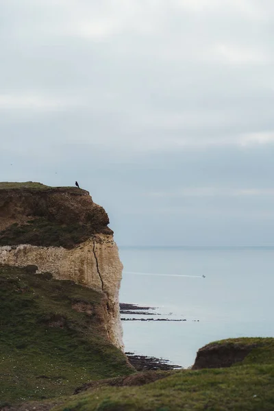 Seaford East Sussex Sueciareino Unido Roca Tiza Acantilados Costa Sussex — Foto de Stock