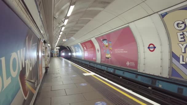 Victoria Line Trein die aankomt op Victoria metrostation plafom — Stockvideo