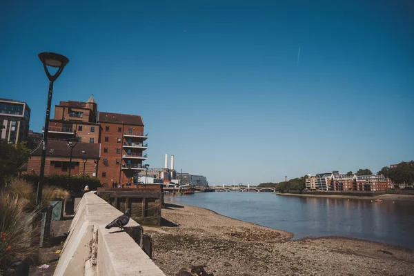 Vauxhall Londres 2021 Vue Sur Pont Chelsea Dessus Tamise Centrale — Photo