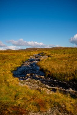 Kardan Donya, Galler 2025.09.20 Çimenli yamaçların ve engebeli kaya oluşumlarının üzerinde yükselen güneşli bir tepe Eryri Ulusal Parkı 'nın açık mavi gökyüzü altında. 