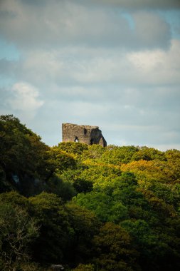 Kardan Donya, Galler 2025.09.20 Eski taş kale Eryri Milli Parkı 'nda bulutlu bir gökyüzü altında yoğun yeşil ve altın bir ormanın üzerinde yükseliyor.. 