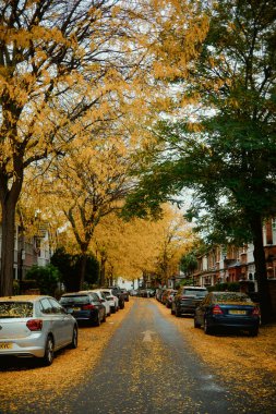 Chiswick, Londra, İngiltere 2025.10.22 Peaceful caddesi yol üzerinde sonbahar tepe örtüsü oluşturan arabalar ve altın ağaçlarla kaplı.. 