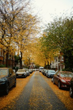 Chiswick, Londra, İngiltere 2025. 10.22 Scenic yerleşim sokağı sakin bir sonbahar öğleden sonrasında altın yapraklı ağaçlar ve park edilmiş arabalarla dolu.. 