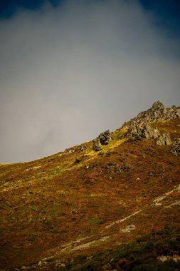 Snowdonia Ulusal Parkı, Galler 2025.09.21 Engebeli bir yamaç yumuşak sis ve güneş ışığı altında kırmızı, kahverengi ve altın tonlarıyla kaplı, Galler dağlarının vahşi güzelliğini gözler önüne seriyor.. 
