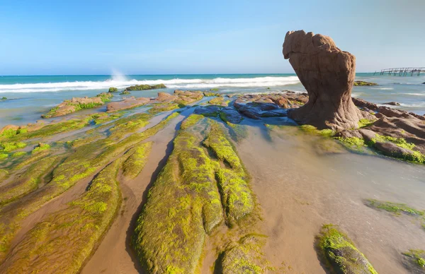 Vreemde stenen en moss op Co Thach strand, Tuy Phong, provincie Binh Thuan, Vietnam. — Stockfoto