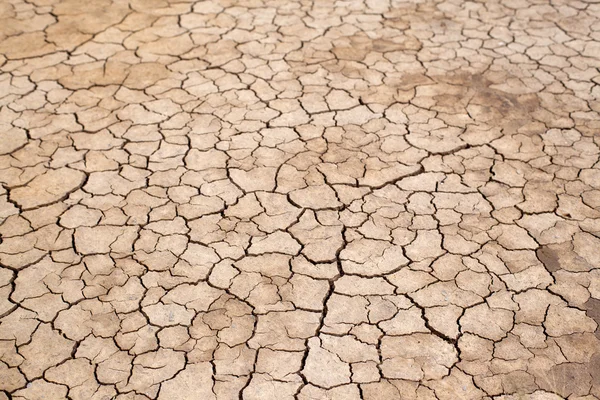 Cracked Ground, Cracked Texture, cracked soil — Stock Photo, Image