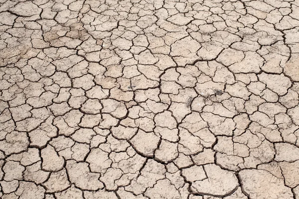 Cracked Ground, Cracked Texture, cracked soil — Stock Photo, Image