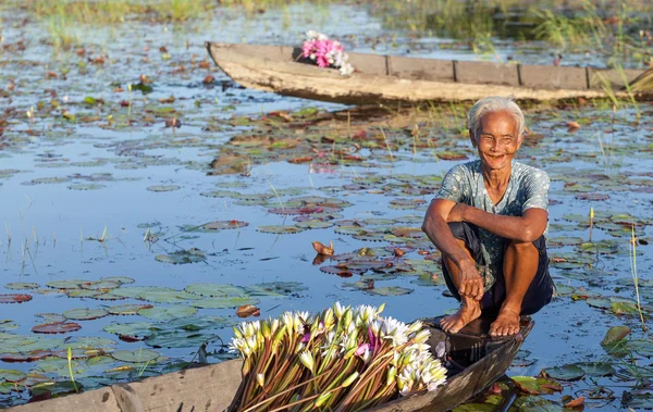 Donna raccoglie loto e mettere su una barca a Kien Tuong, Moc Hoa, Vietnam — Foto Stock