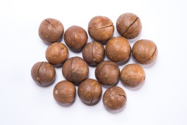 Beyaz arka planda Macadamia fındıkları