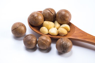 Beyaz arka planda Macadamia fındıkları