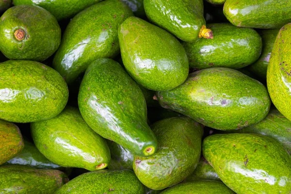 Avokado meyve arka plan Dalat pazarda satmak