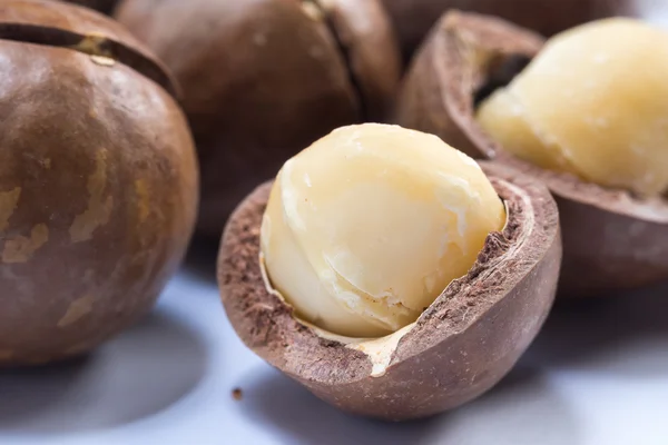 Noci di macadamia su sfondo bianco — Foto Stock