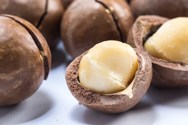 Noci di macadamia su sfondo bianco — Foto Stock