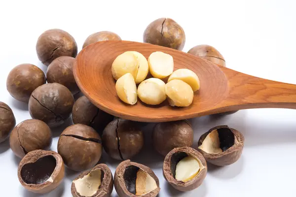 Noci di macadamia su sfondo bianco — Foto Stock