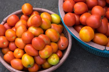 Tomato sell at the local market