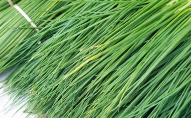 Green onions sell at the market
