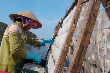 People doing fresh seafood - cuttle-fish from the fishery harbor Nam Du Island, Kien Giang, Vietnam
