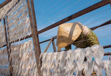 People doing fresh seafood - cuttle-fish from the fishery harbor Nam Du Island, Kien Giang, Vietnam