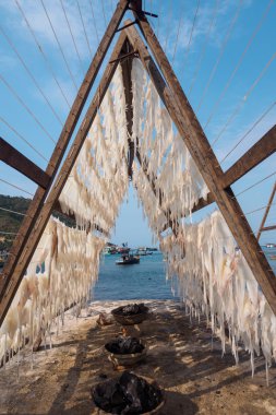 People doing fresh seafood - cuttle-fish from the fishery harbor Nam Du Island, Kien Giang, Vietnam