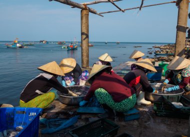 People doing fresh seafood - cuttle-fish from the fishery harbor Nam Du Island, Kien Giang, Vietnam