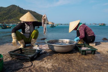 People doing fresh seafood - cuttle-fish from the fishery harbor Nam Du Island, Kien Giang, Vietnam