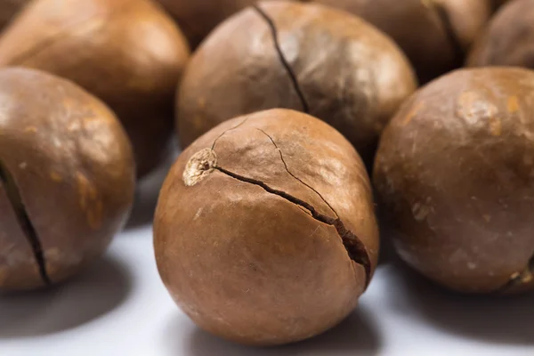 Beyaz arka planda Macadamia fındıkları — Stok fotoğraf