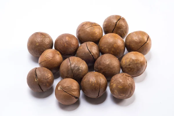 Nueces de macadamia sobre fondo blanco — Foto de Stock