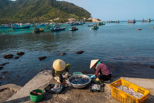Pessoas fazendo frutos do mar frescos - choco-peixe do porto de pesca Nam Du Island, Kien Giang, Vietnã — Fotografia de Stock