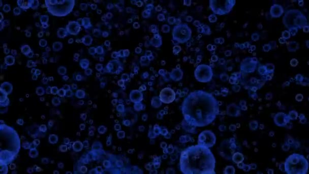 Composition des séquences de mouvement 