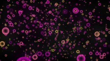 Hareketli görüntü kompozisyonu