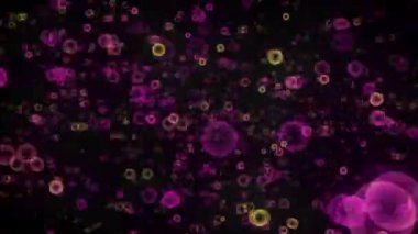 Hareketli görüntü kompozisyonu