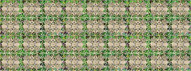 Nazik, narin çiçek arkaplanı. Çiçekli karalama şeklinde Raster çiçek deseni. Çiçekler bej ve nötr renklerde.