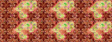 Botanik çizim kalıbı. Suluboya etkisi. Raster deseni. Organik elementler.