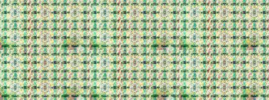 Tarafsız ve bej renkli çiçekler suluboya tarzında. Tarafsız ve bej renklerde çiçeklerle çizilmiş çiçek deseni.