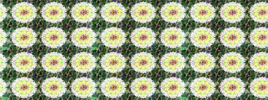 Raster illüstrasyonu. Düz Çiçek Elementleri Tasarımı. Renkli Bahar Teması eskiz kalıbı. Tarafsız ve yeşil renklerde zarif çiçekli suluboya.