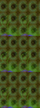 Eskiz arkaplan modeli. Suluboya, elle çizilmiş. Raster hisseleri. Çiçekler yeşil ve gri üzerine.