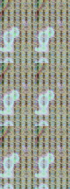 Güzel eskiz şekli. Düz Çiçek Elementleri Tasarımı. Renkli Yaz Temalı eskiz kalıbı. Yazdır. Güzel kumaş deseni. Raster çiçekli arka plan.