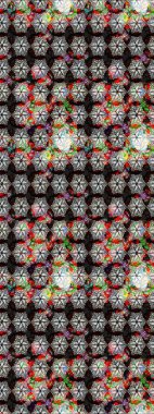 Elle boyanmış suluboya resim çizimleri, çiçekler ve bitkiler. Siyah ve nötr renkte çiçekler.