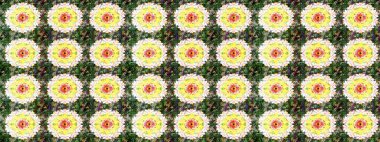 Best for wrapping paper. Raster sketch pattern with green and yellow tulip flowers. Spring tender design for natural cosmetics, perfume, florist shop. Can be used as greeting or wedding background.