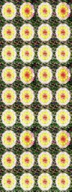 Çiçek deseni. Raster illüstrasyonu. Düz Çiçek Elementleri Tasarımı. Chichi 'nin kumaş kalıbını çiz. Renkli Bahar Teması çizim şablonu.